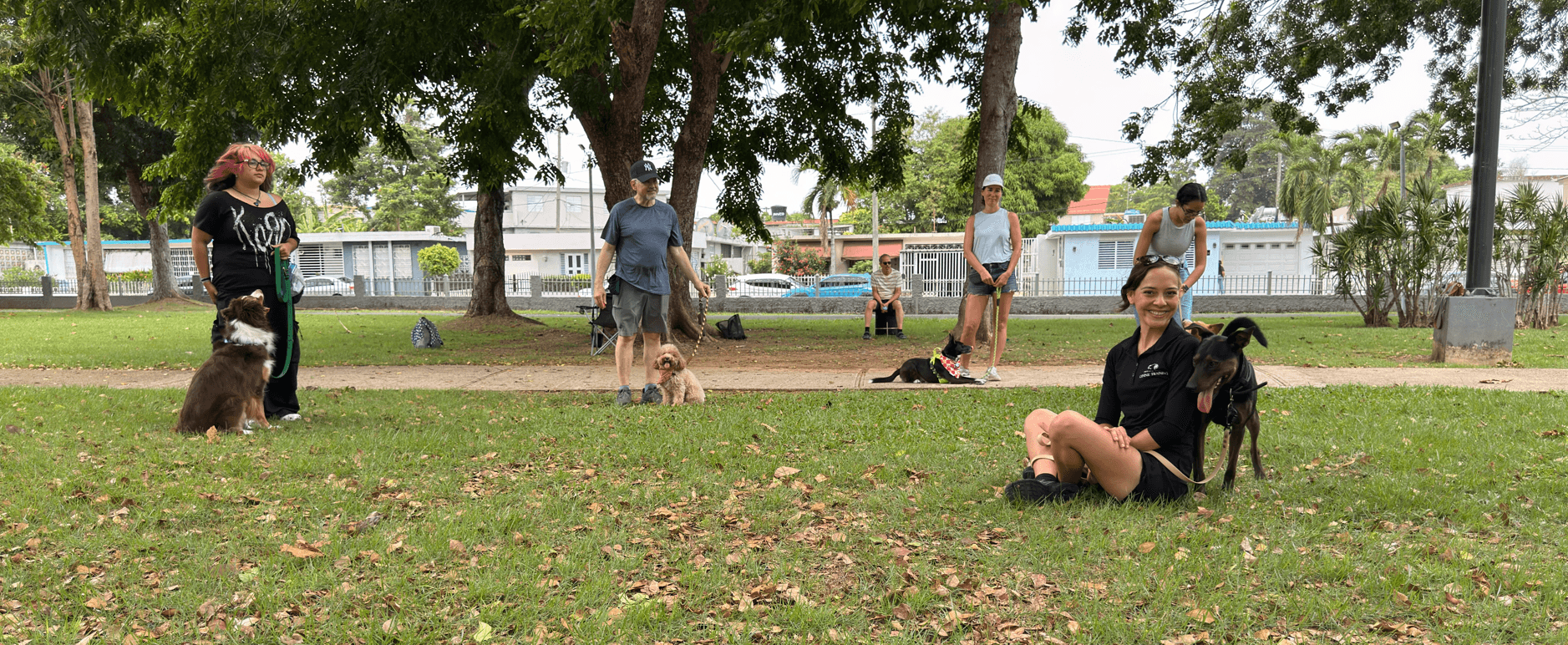 Anayla sitting on the grass with a dog during a group training class in a Puerto Rico park, with other clients and their dogs practicing nearby under the trees